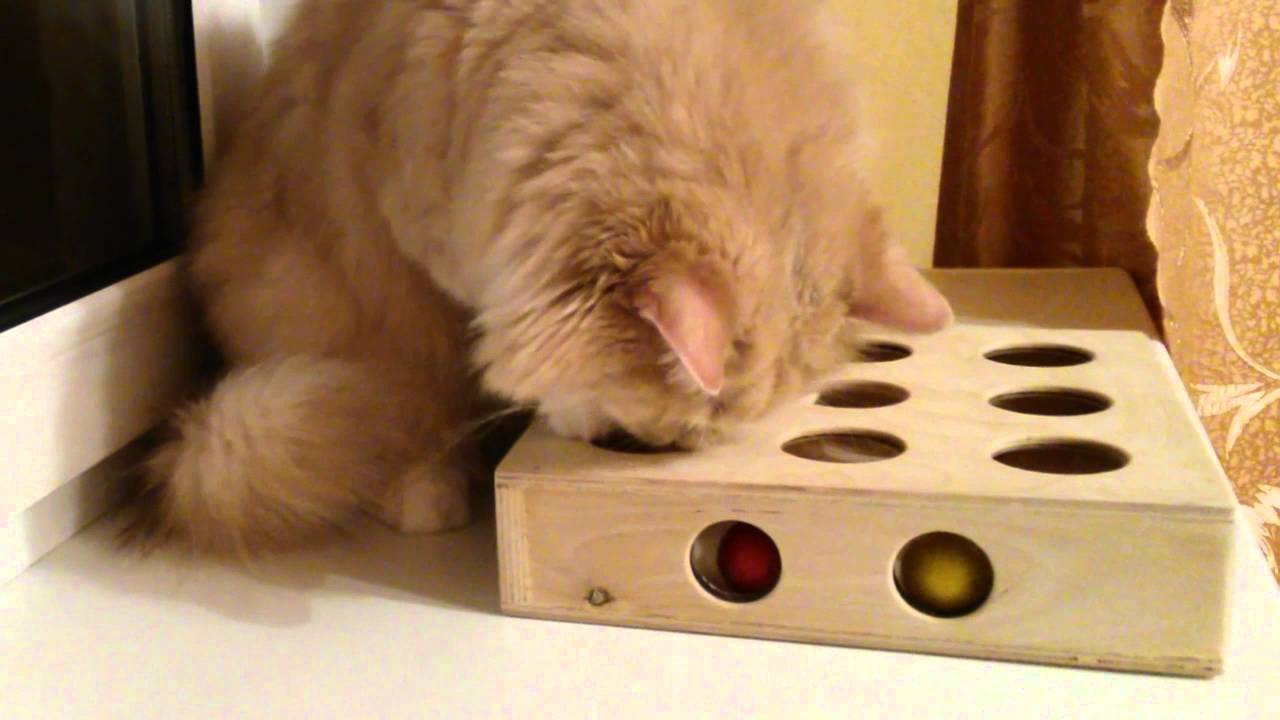 Игрушки для кошек из картона