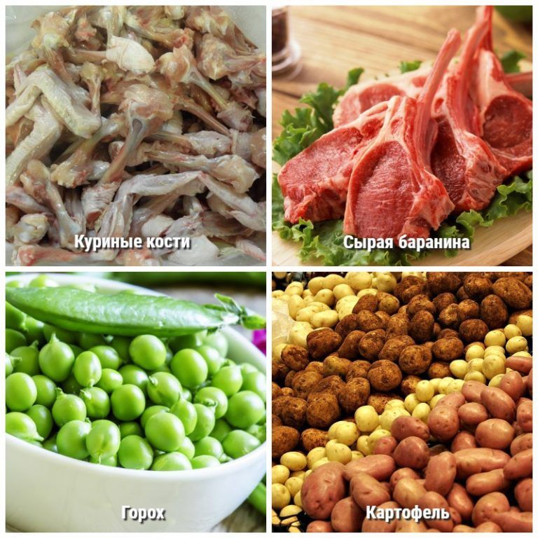 Натуральное питание для кошек: 75% мяса, рецепты, таблицы