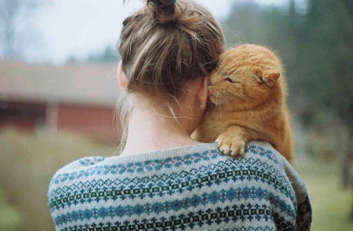 Кот любит хозяина