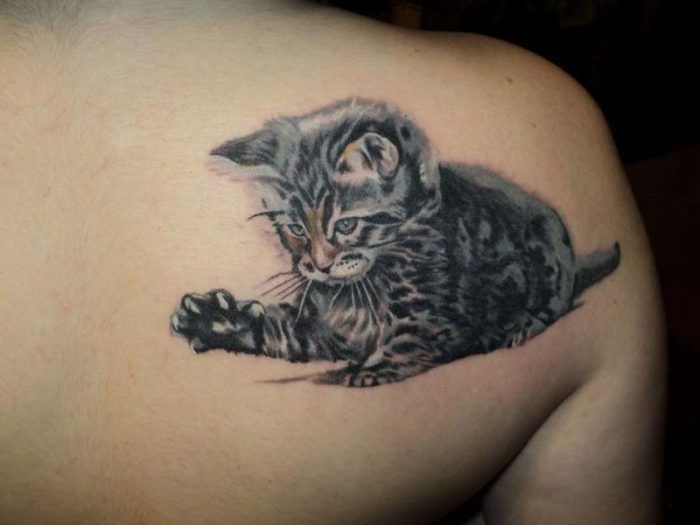 Татуировки с кошками: Чеширский кот и другие, значение, эскизы, фото