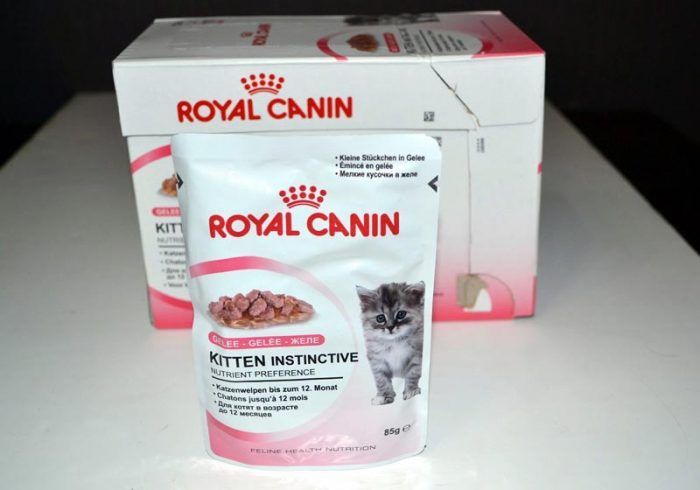 Корм Роял Канин (Royal Canin) для кошек и котов: вся линейка, цены