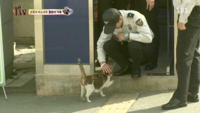 Бездомная кошка находит дом в полицейском участке