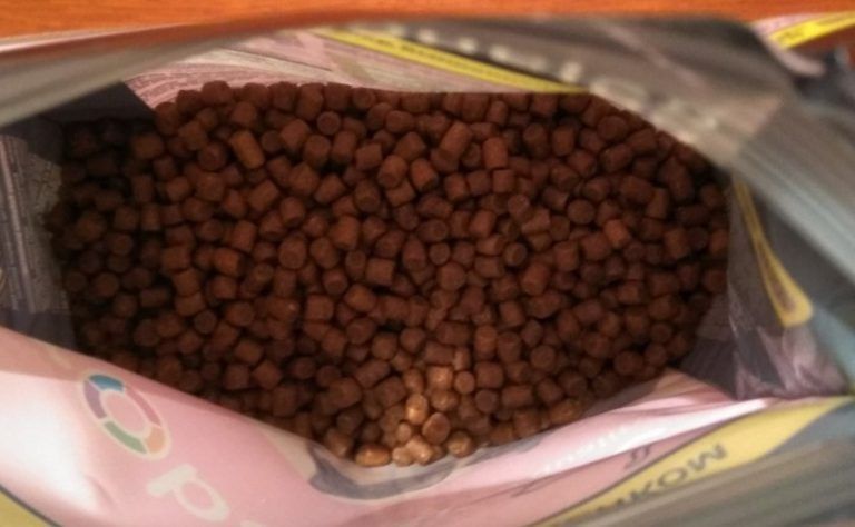 12 лучших сухих кормов для котят, разбор состава, что лучше не брать