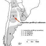 Обитание Leopardus geoffroy salinarum