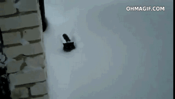 Котик пробирается через снег
