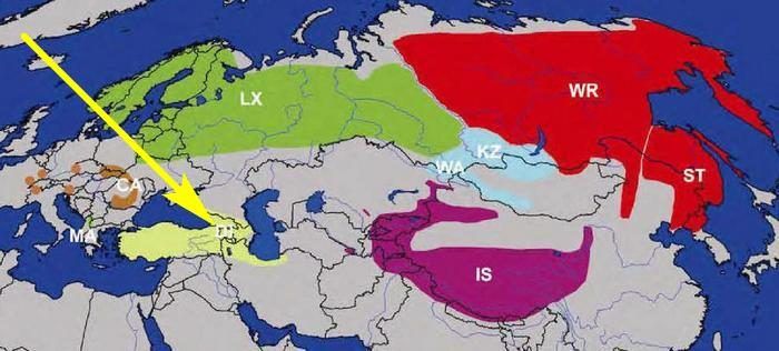 Где живет Кавказская рысь