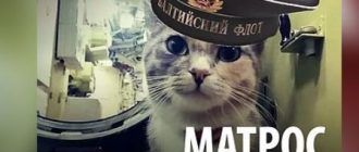 Матрос Муся