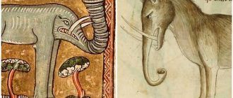 Примеры изображения слонов