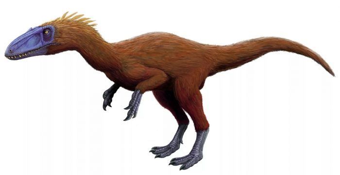 Как выглядел Целуозавр