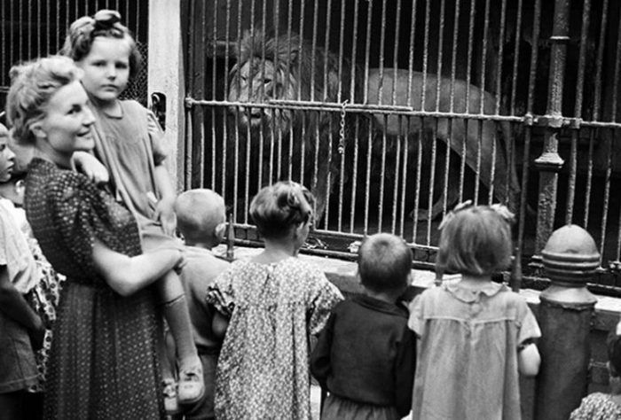 Работа Московского зоопарка во время войны