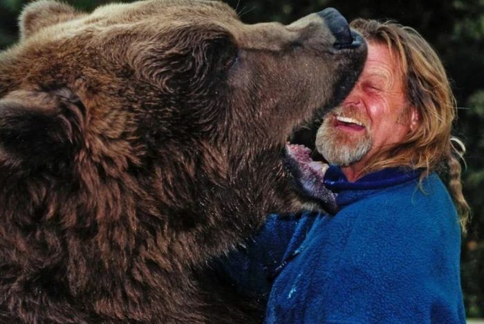 Благодарный медведь