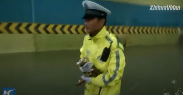 Полицейский т котенок
