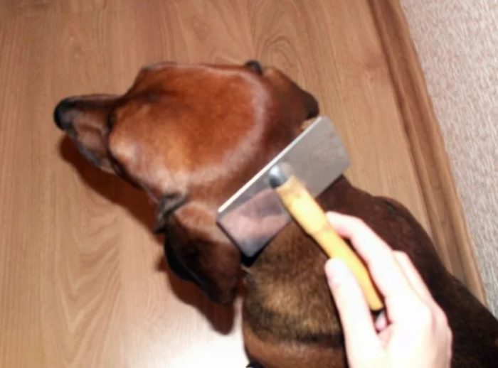 Расчёска для собаки 
