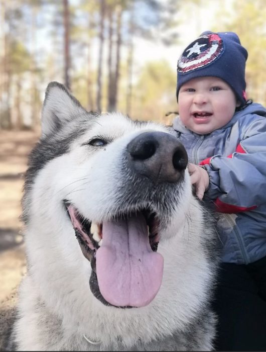 Собака с ребенком