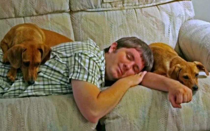 Спящие псы дата выхода. Такса с хозяином. Люди спят с животными. Собака в кровати с хозяином.