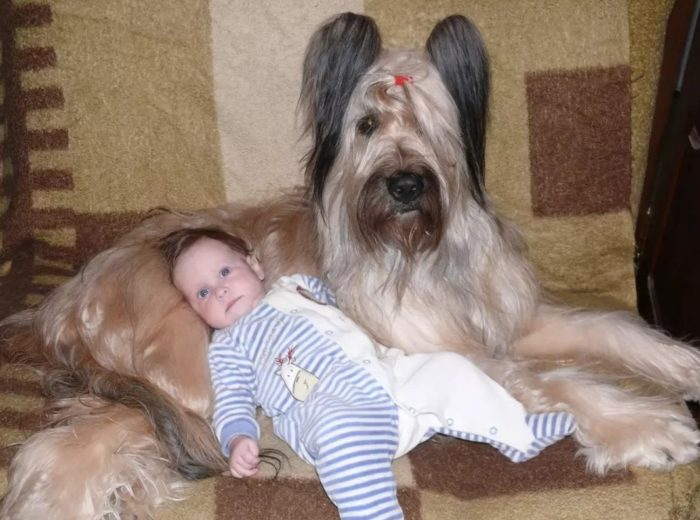 Собака с младенцем